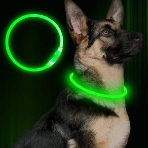 LED Safety Collar USB Charge No Battery Needed Ever